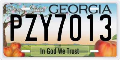 GA license plate PZY7013