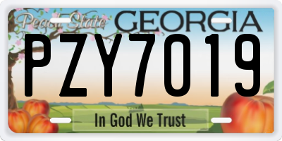 GA license plate PZY7019