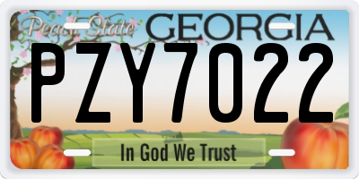 GA license plate PZY7022