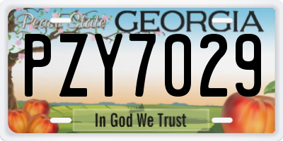 GA license plate PZY7029
