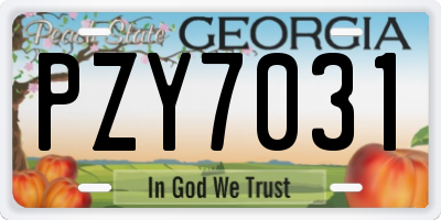GA license plate PZY7031