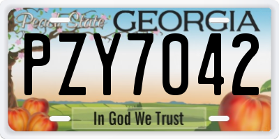 GA license plate PZY7042