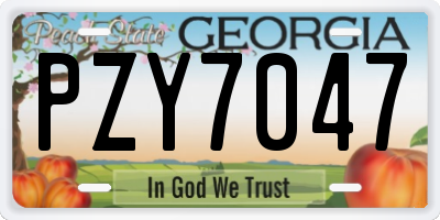 GA license plate PZY7047