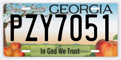 GA license plate PZY7051