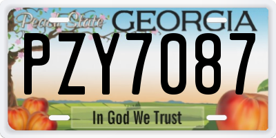 GA license plate PZY7087
