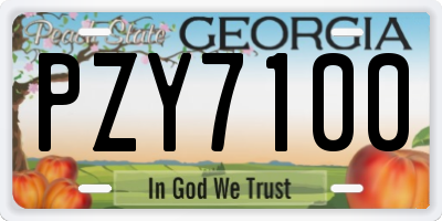 GA license plate PZY7100