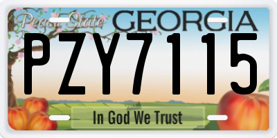 GA license plate PZY7115