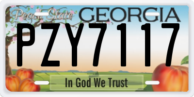 GA license plate PZY7117
