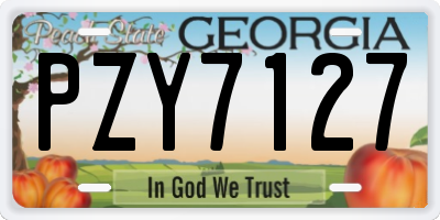 GA license plate PZY7127