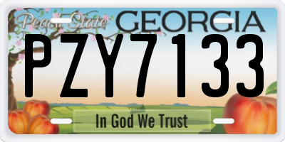 GA license plate PZY7133