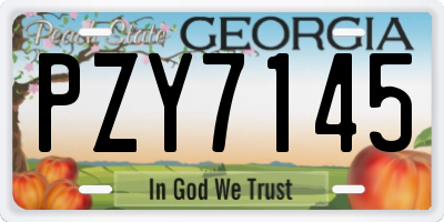 GA license plate PZY7145