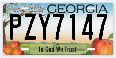 GA license plate PZY7147