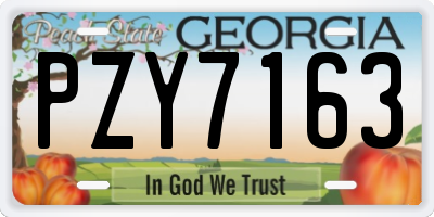 GA license plate PZY7163