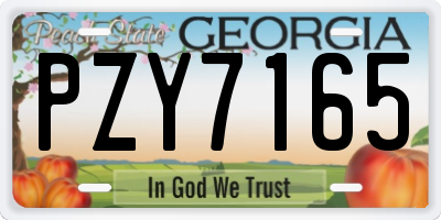 GA license plate PZY7165