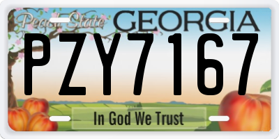 GA license plate PZY7167