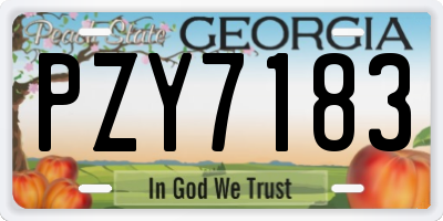 GA license plate PZY7183