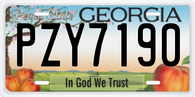 GA license plate PZY7190