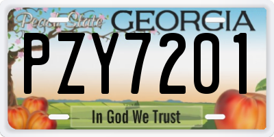 GA license plate PZY7201