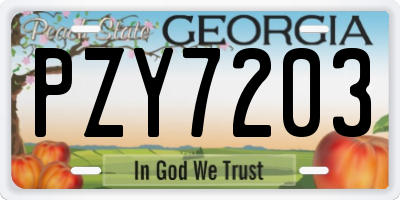 GA license plate PZY7203