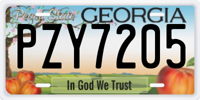 GA license plate PZY7205