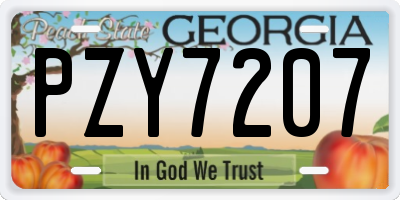 GA license plate PZY7207
