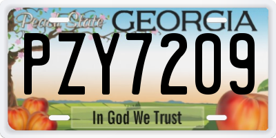 GA license plate PZY7209