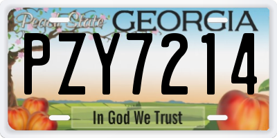 GA license plate PZY7214