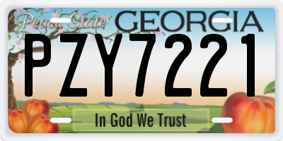 GA license plate PZY7221