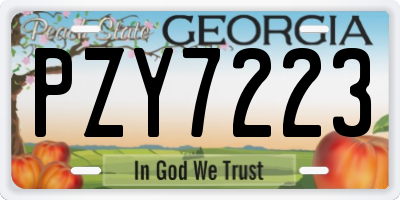 GA license plate PZY7223