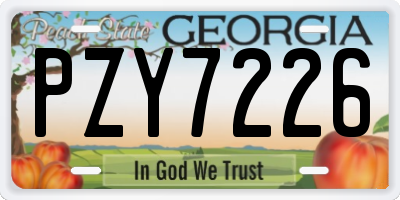 GA license plate PZY7226