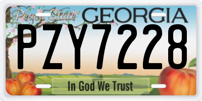 GA license plate PZY7228