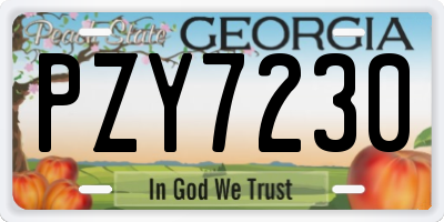 GA license plate PZY7230
