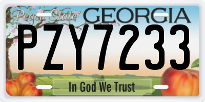 GA license plate PZY7233