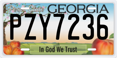 GA license plate PZY7236