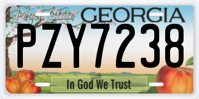 GA license plate PZY7238