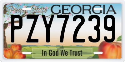 GA license plate PZY7239