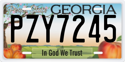GA license plate PZY7245
