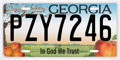 GA license plate PZY7246