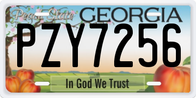 GA license plate PZY7256