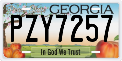 GA license plate PZY7257