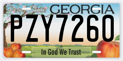 GA license plate PZY7260