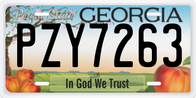 GA license plate PZY7263