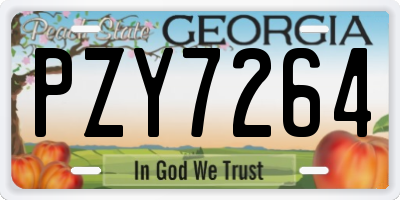 GA license plate PZY7264