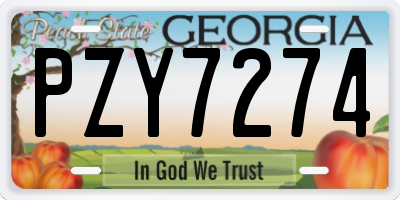 GA license plate PZY7274