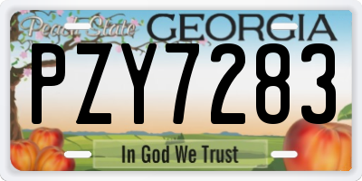 GA license plate PZY7283