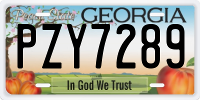 GA license plate PZY7289