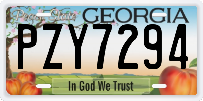 GA license plate PZY7294