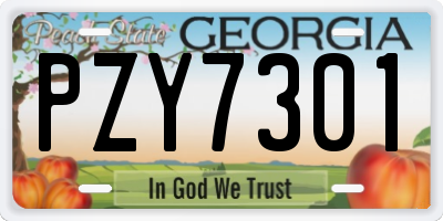 GA license plate PZY7301