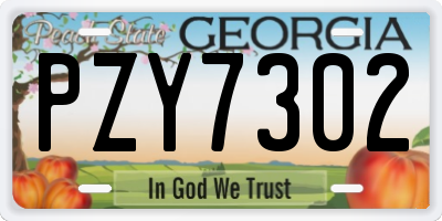 GA license plate PZY7302