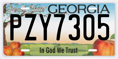 GA license plate PZY7305